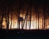 A fire burns at Joint Base McGuire-Dix-Lakehurst on Wednesday night. Authorities said it was contained Thursday morning.